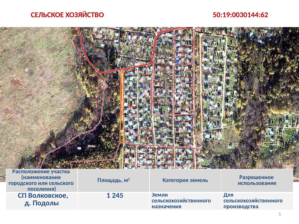50 19 62
