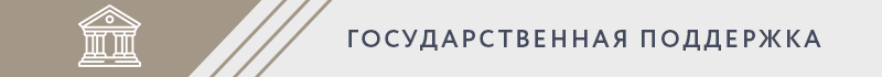 ГОСУДАРСТВЕННАЯ ПОДДЕРЖКА